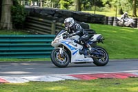 cadwell-no-limits-trackday;cadwell-park;cadwell-park-photographs;cadwell-trackday-photographs;enduro-digital-images;event-digital-images;eventdigitalimages;no-limits-trackdays;peter-wileman-photography;racing-digital-images;trackday-digital-images;trackday-photos